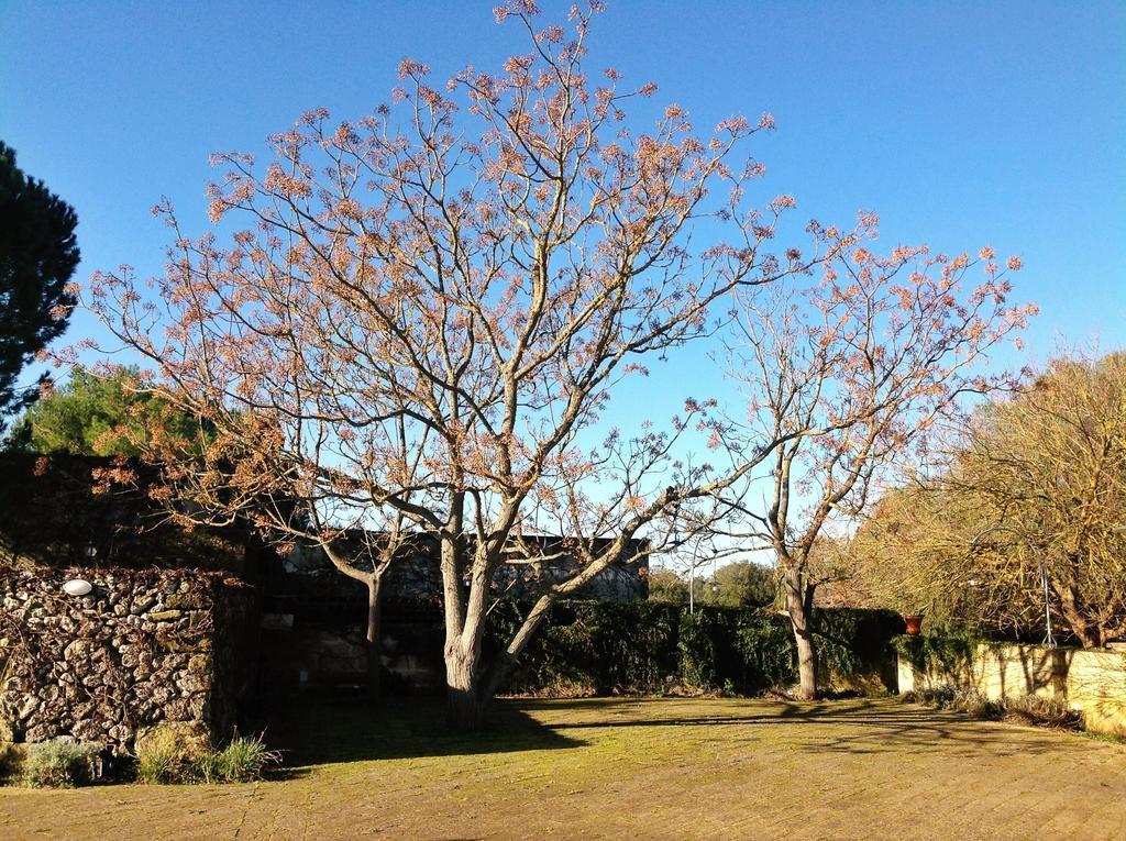Giuggianello Tenuta Sant'Andrea מראה חיצוני תמונה