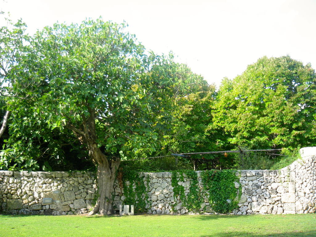 Giuggianello Tenuta Sant'Andrea מראה חיצוני תמונה